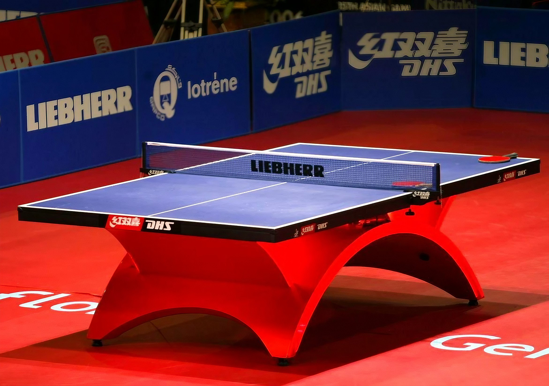 dhssport.com