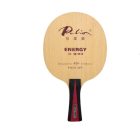 Palio Energy 03