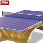 DHS Rainbow 2 tabe tennis table