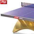 DHS Rainbow 2 tabe tennis table